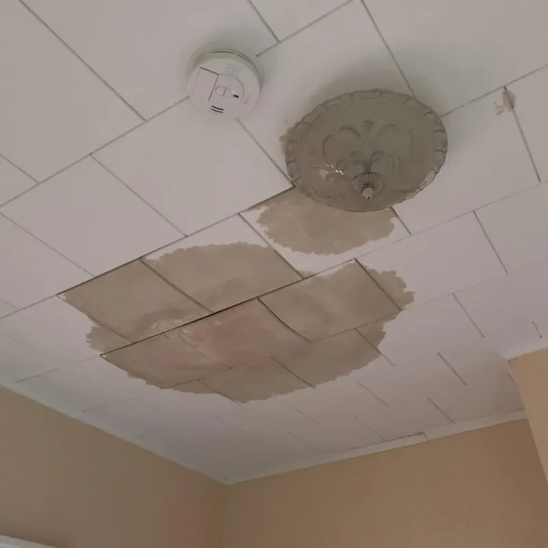 Ceiling Water Damage Repair in Birch Bay, WA